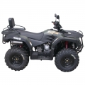 ATV Quad Off Road 4 x 4 300cc grön
