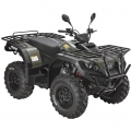 ATV Quad Off Road 4 x 4 300cc grön